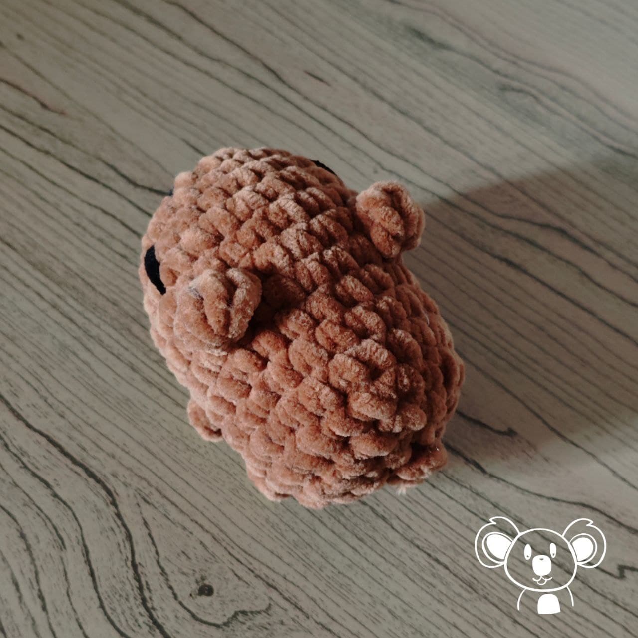 foto Capibara
