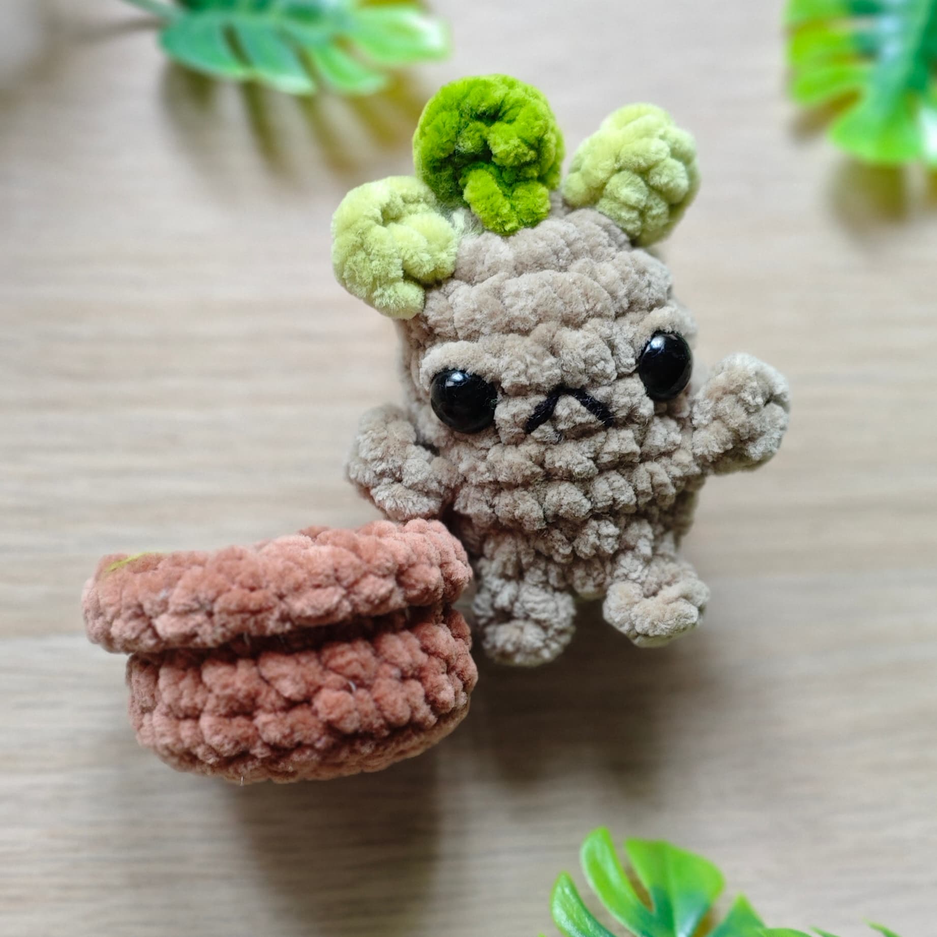 foto mandragora mini