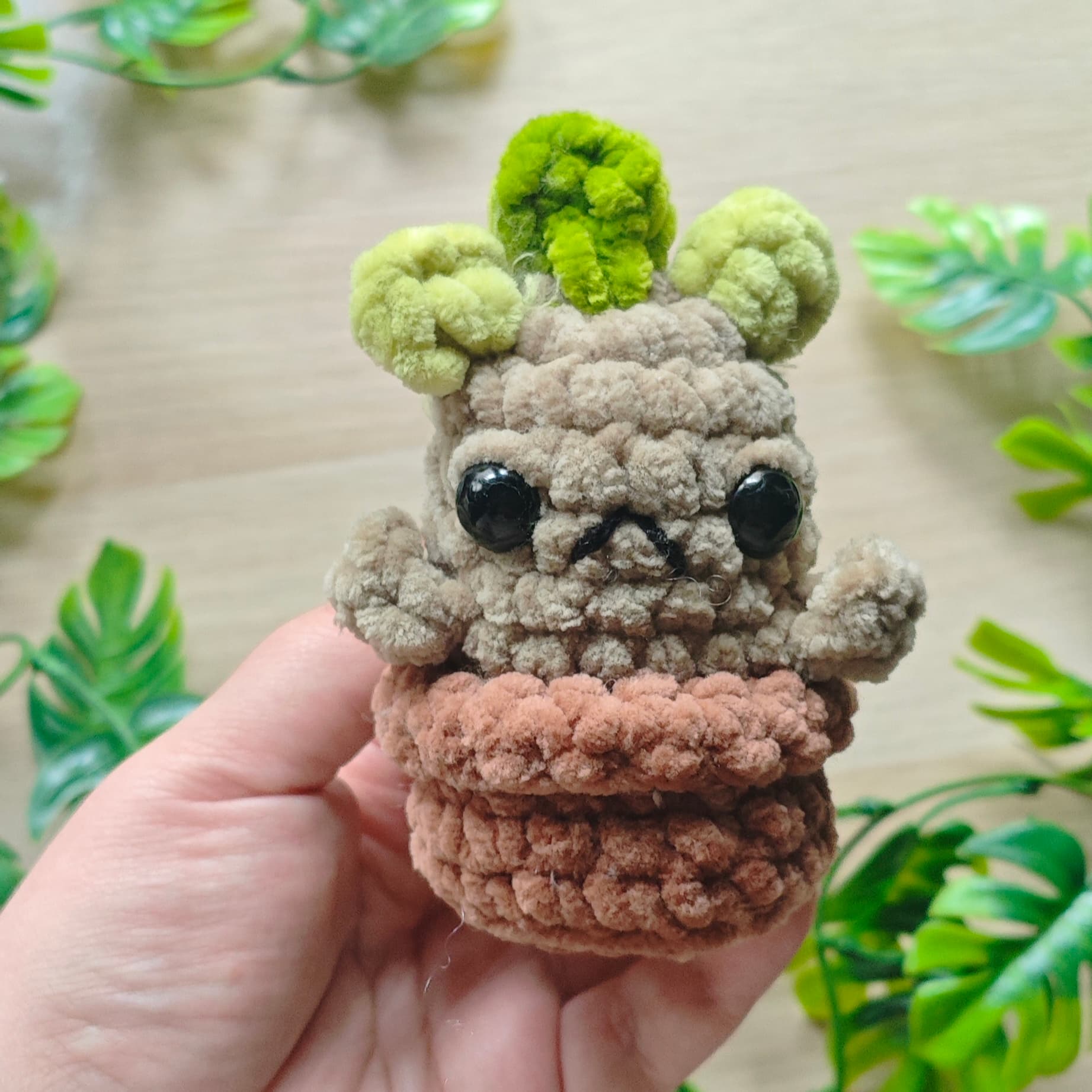 mandragora mini