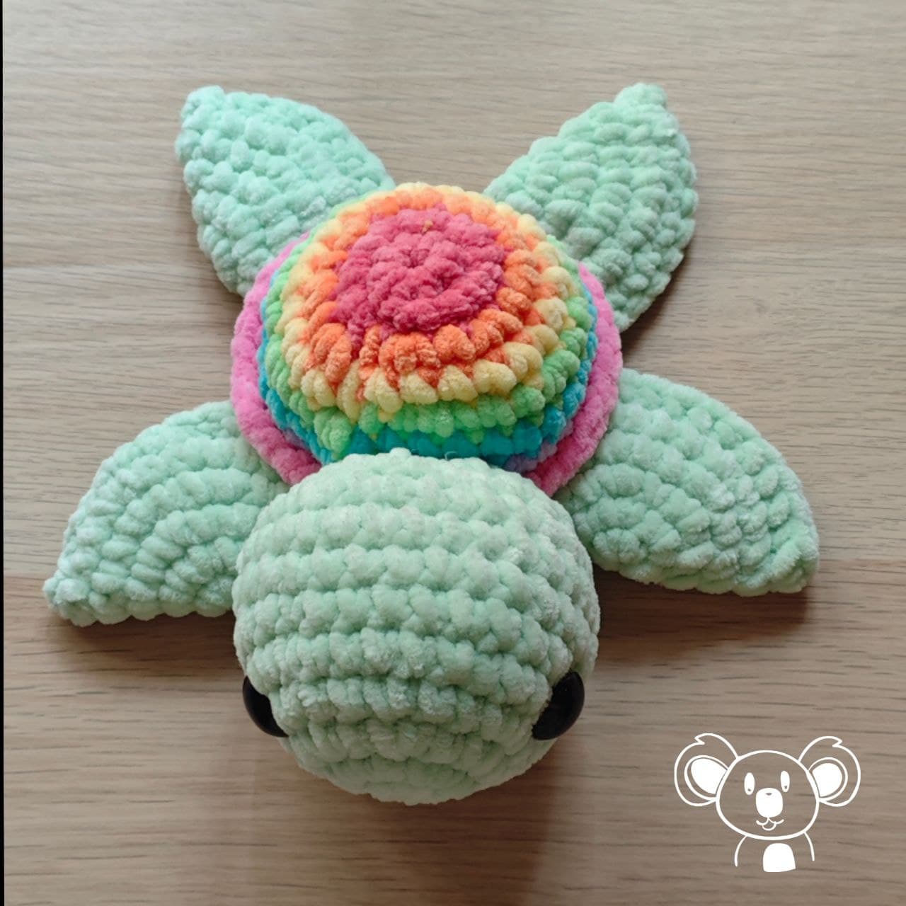 foto Tartaruga Arcobaleno